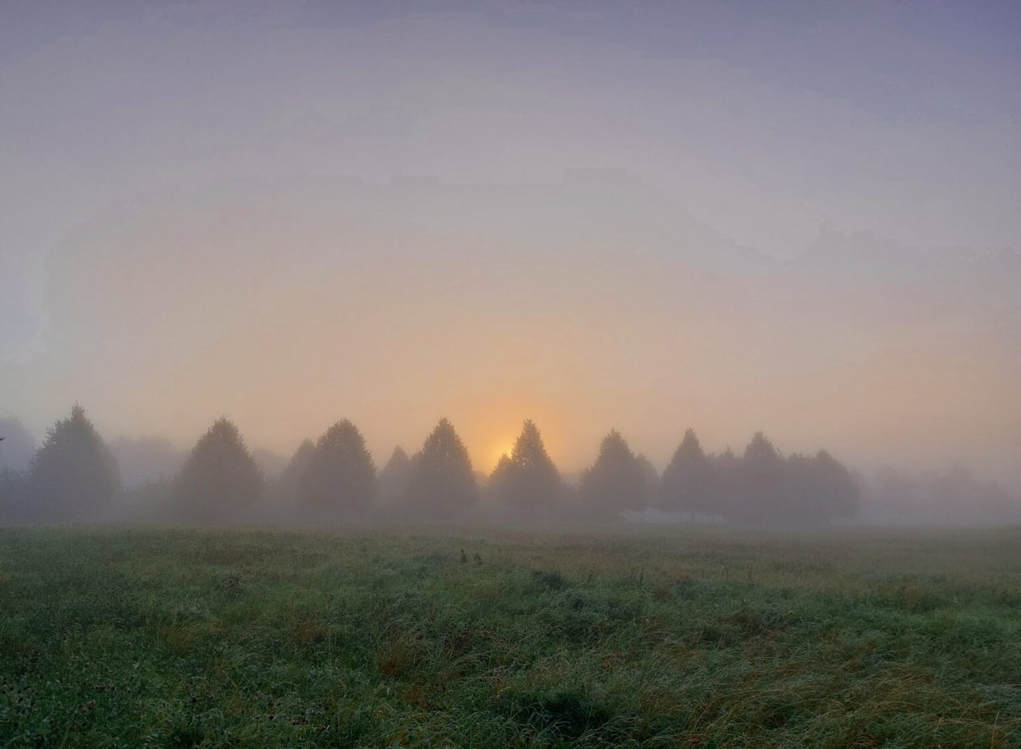 Camp Silenzio