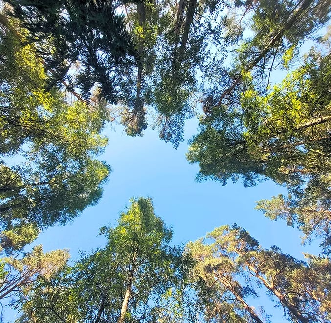 Campo del Silenzio