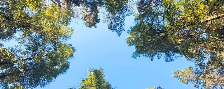 Campo del Silenzio