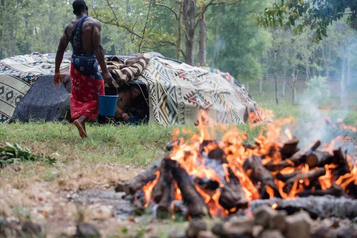 Ritiro olistico di ayahuasca di 4 giorni a Barcellona, Spagna