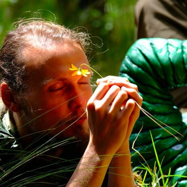 Ayahuasca & San Pedro – Gaia Sagrada