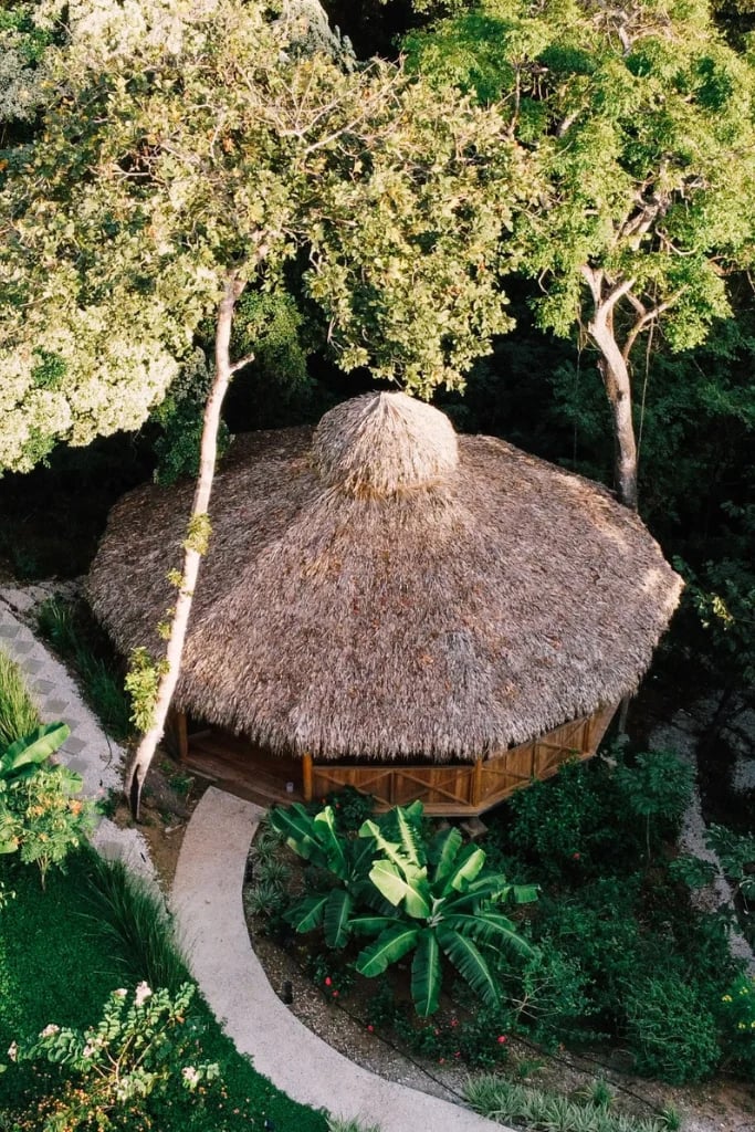 Huachuma (San Pedro) Immersioni