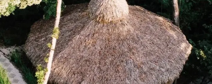 Huachuma (San Pedro) Immersioni
