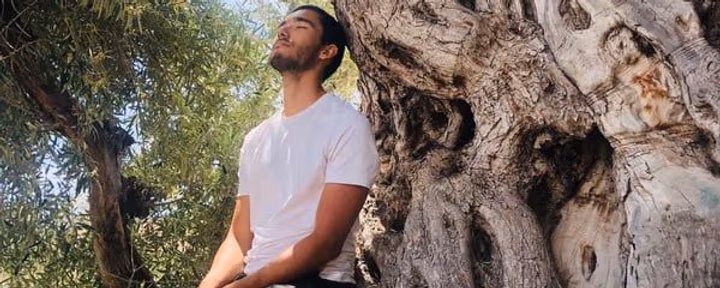 Aya and Bufo Deepening · Ritiro di 5 giorni con Ayahuasca e Rospo