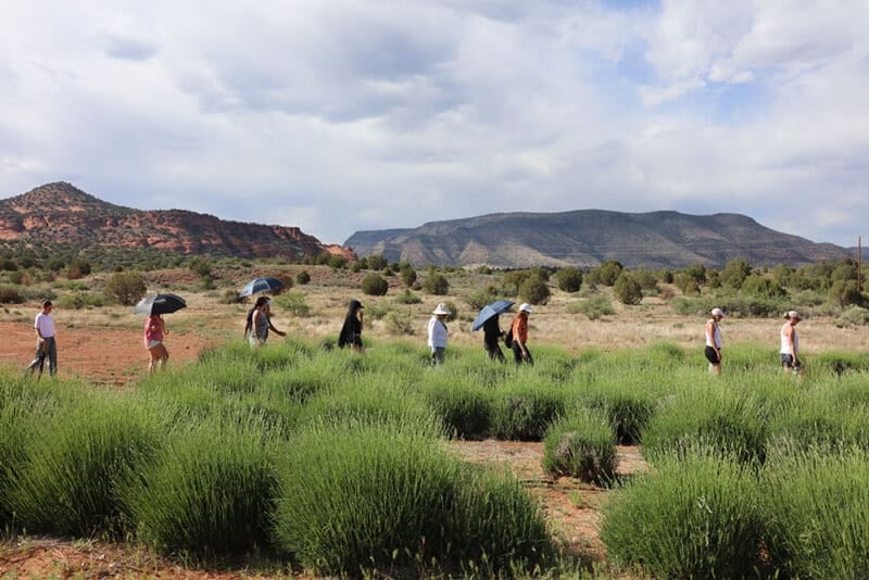Sedona Vortex Healing Ritiro