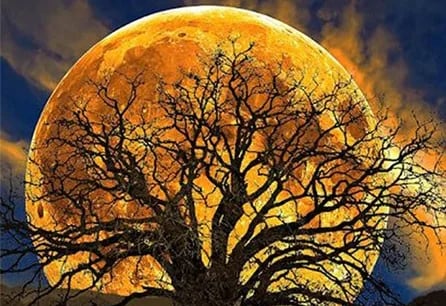 Ritiro di osservazione della luna piena: ricalibrare il cuore