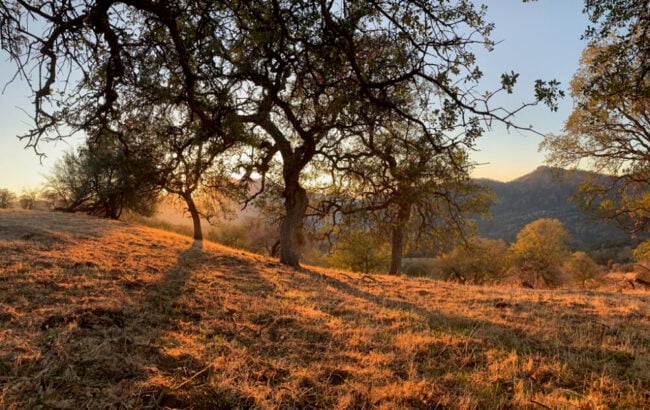 4 Giorni di Osservazione della Luna Nuova / Ritiro di Yoga Silenzioso, Pranayama e Meditazione