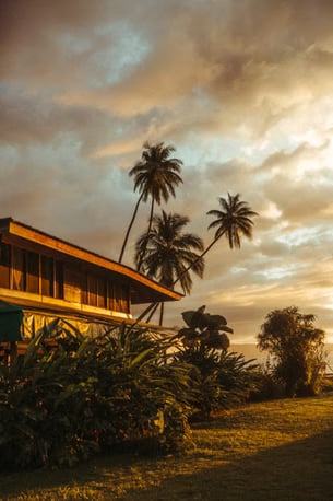 AYAHUASCA WORKSHOPS