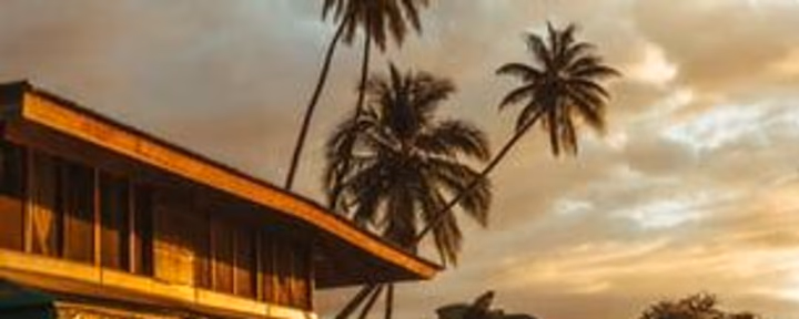 WORKSHOP DI AYAHUASCA
