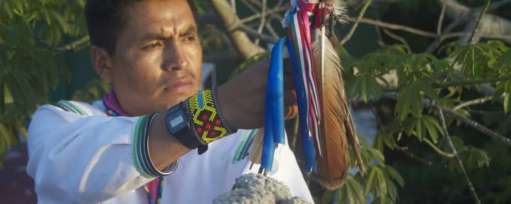 Ayahuasca Soul Journey, 4 Giorni