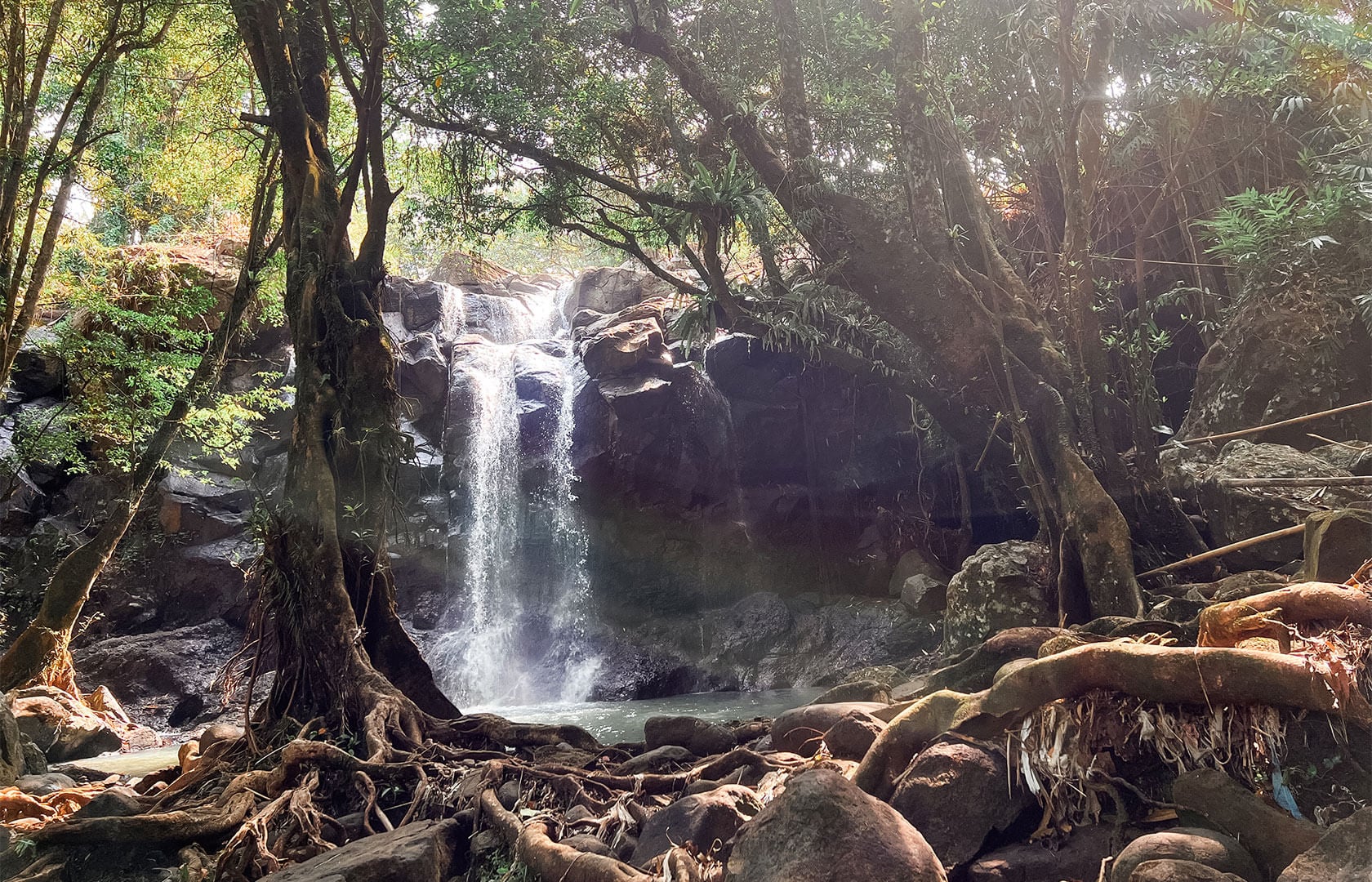 4 Giorni di Risveglio Spirituale, ritiro di yoga e benessere di lusso a Bali