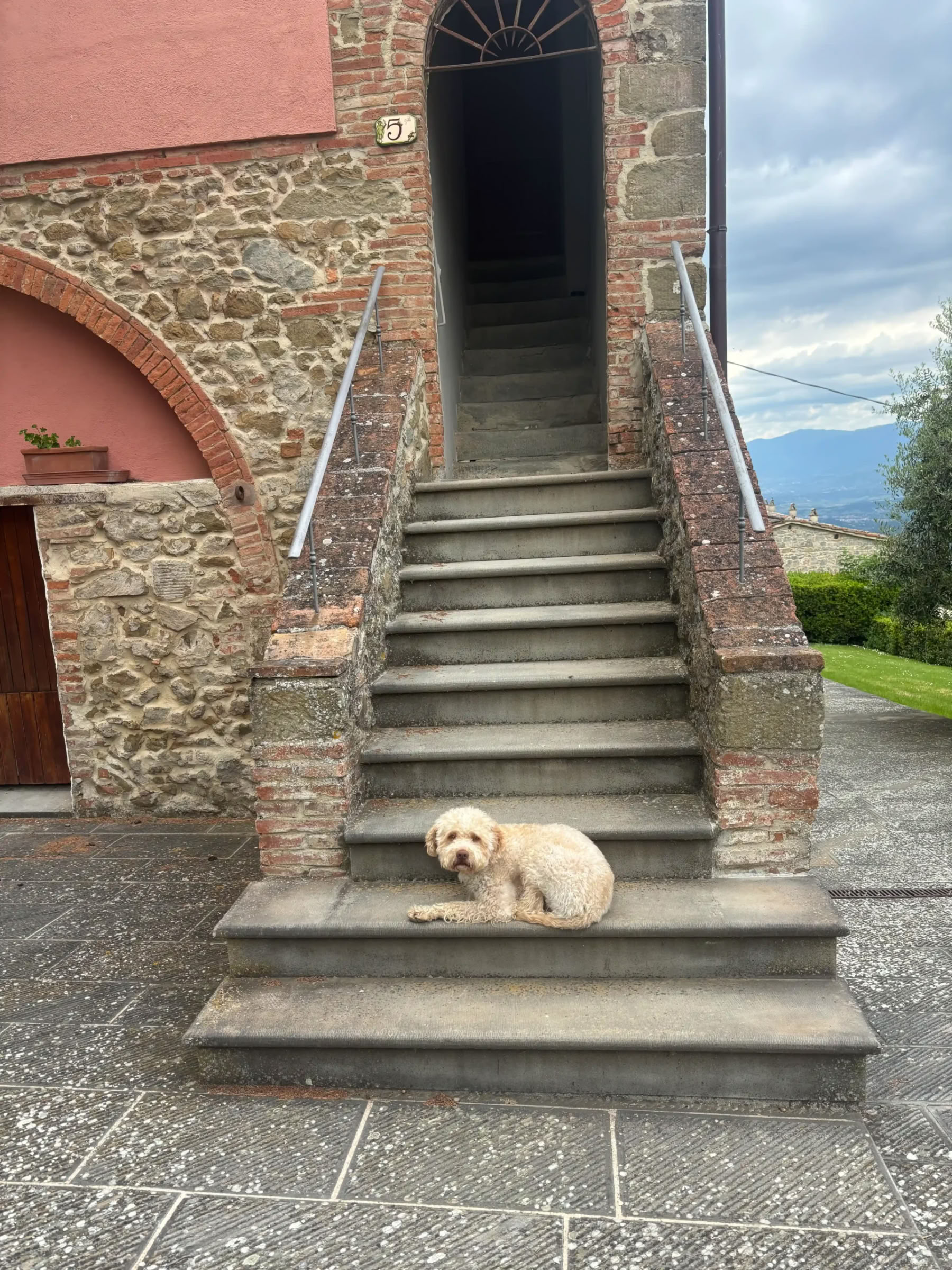 Yoga & Coccole
