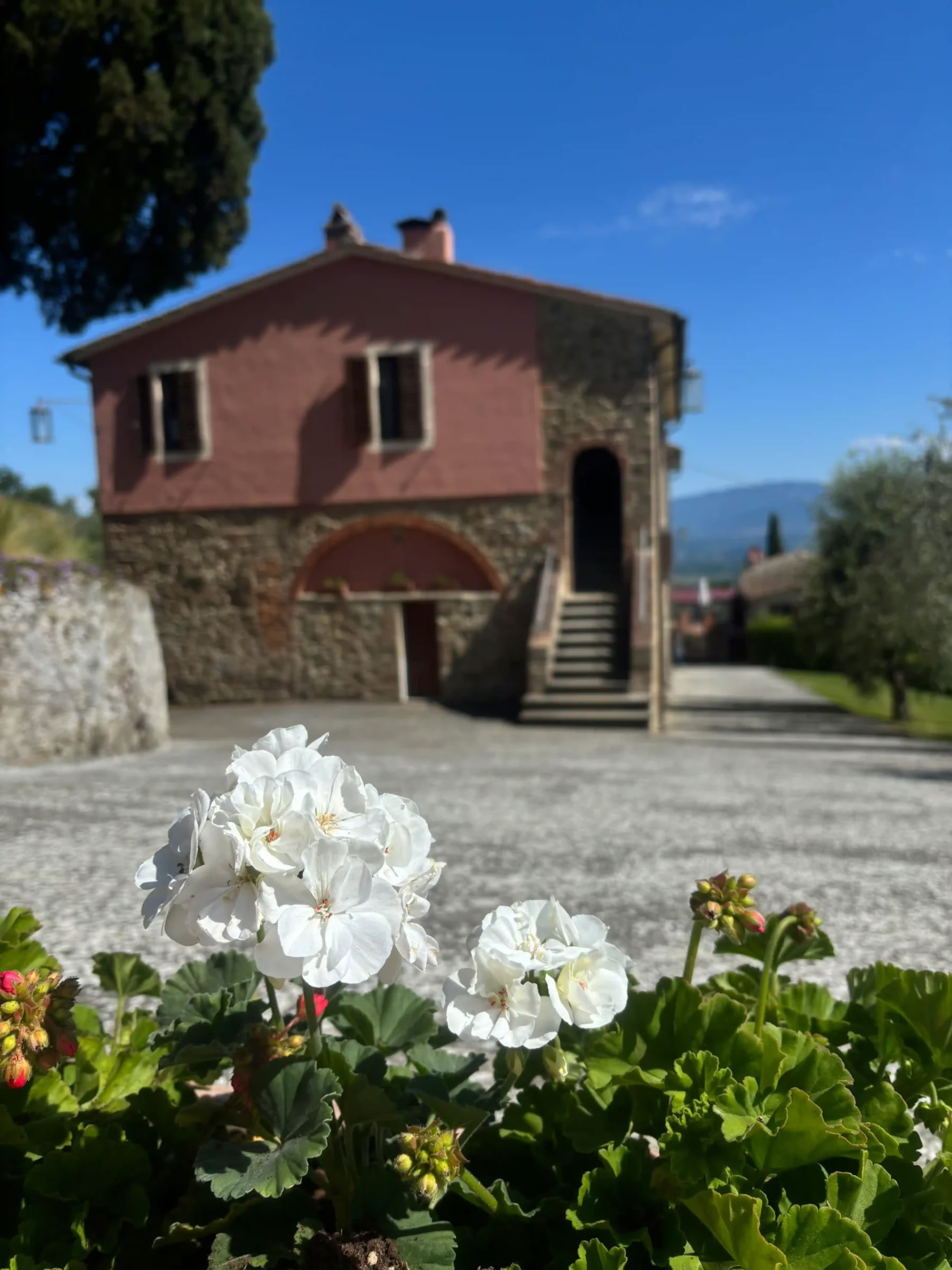 Yoga & Fitness – (4 Giorni/3 Notti)