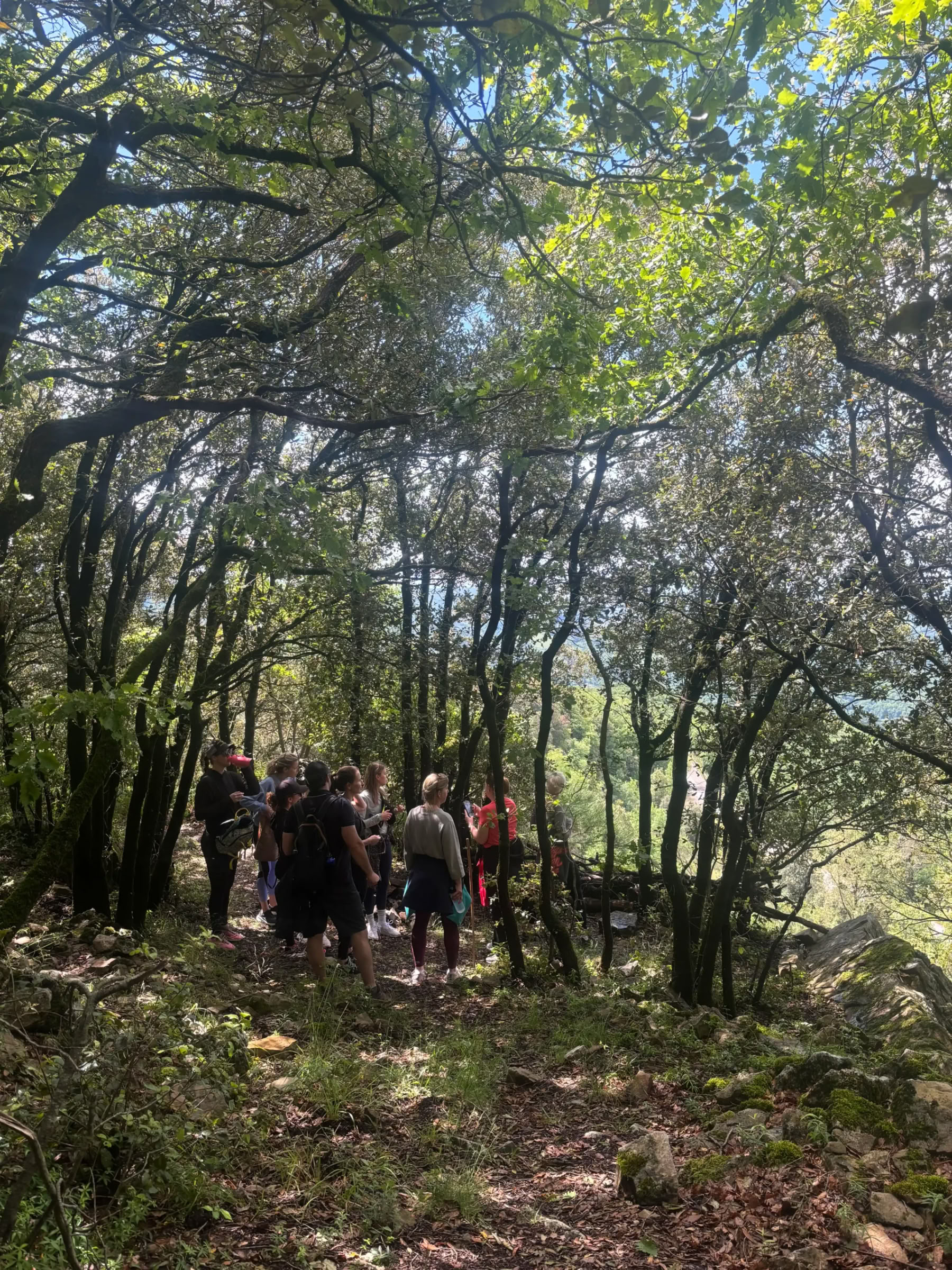 Yoga & Fitness Ritiro in Tuscany