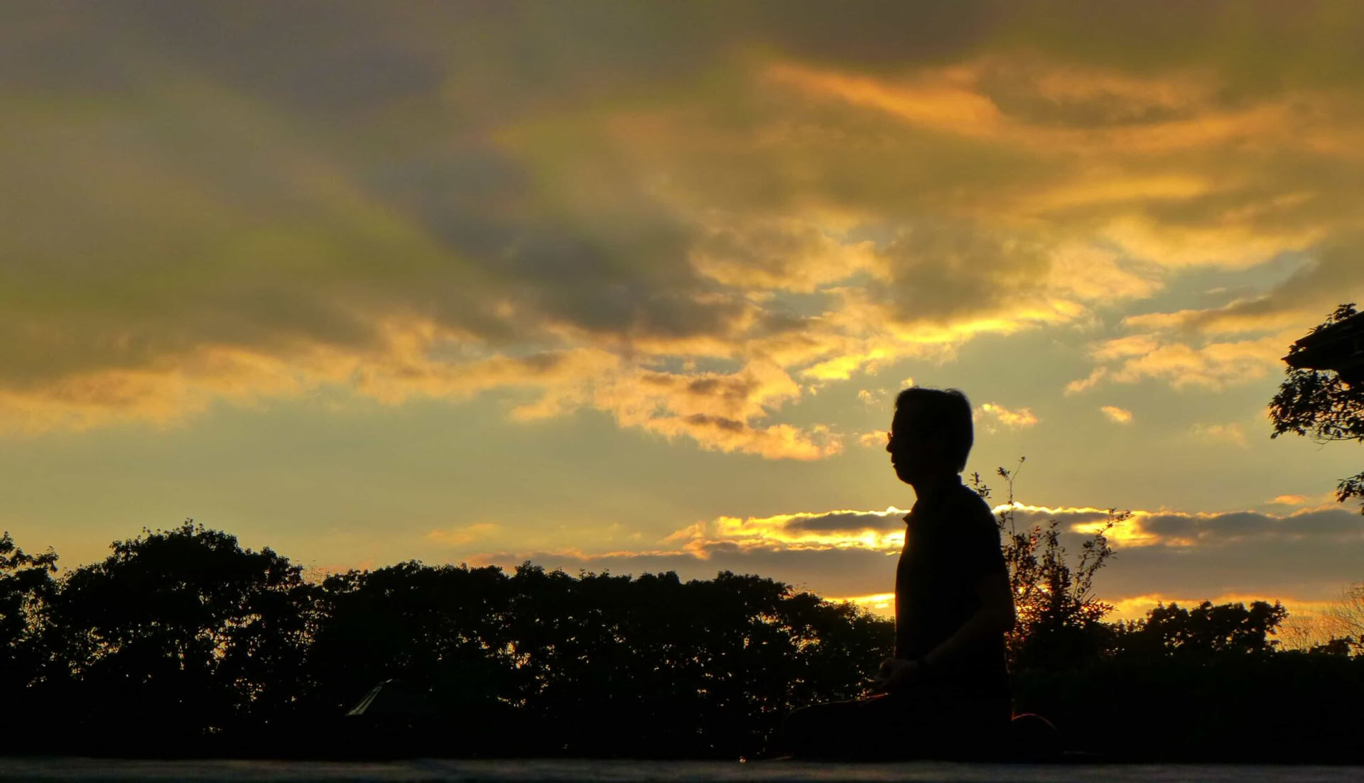 Discovering the Dharma III