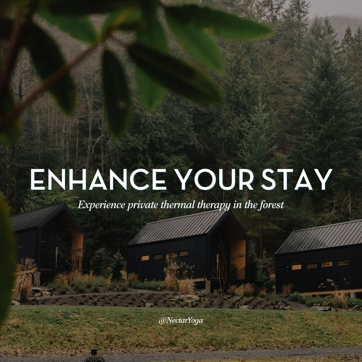 Stoke + Soothe, Un rituale di respiro + corpo per la luminosità interiore | Bowen Island Yoga