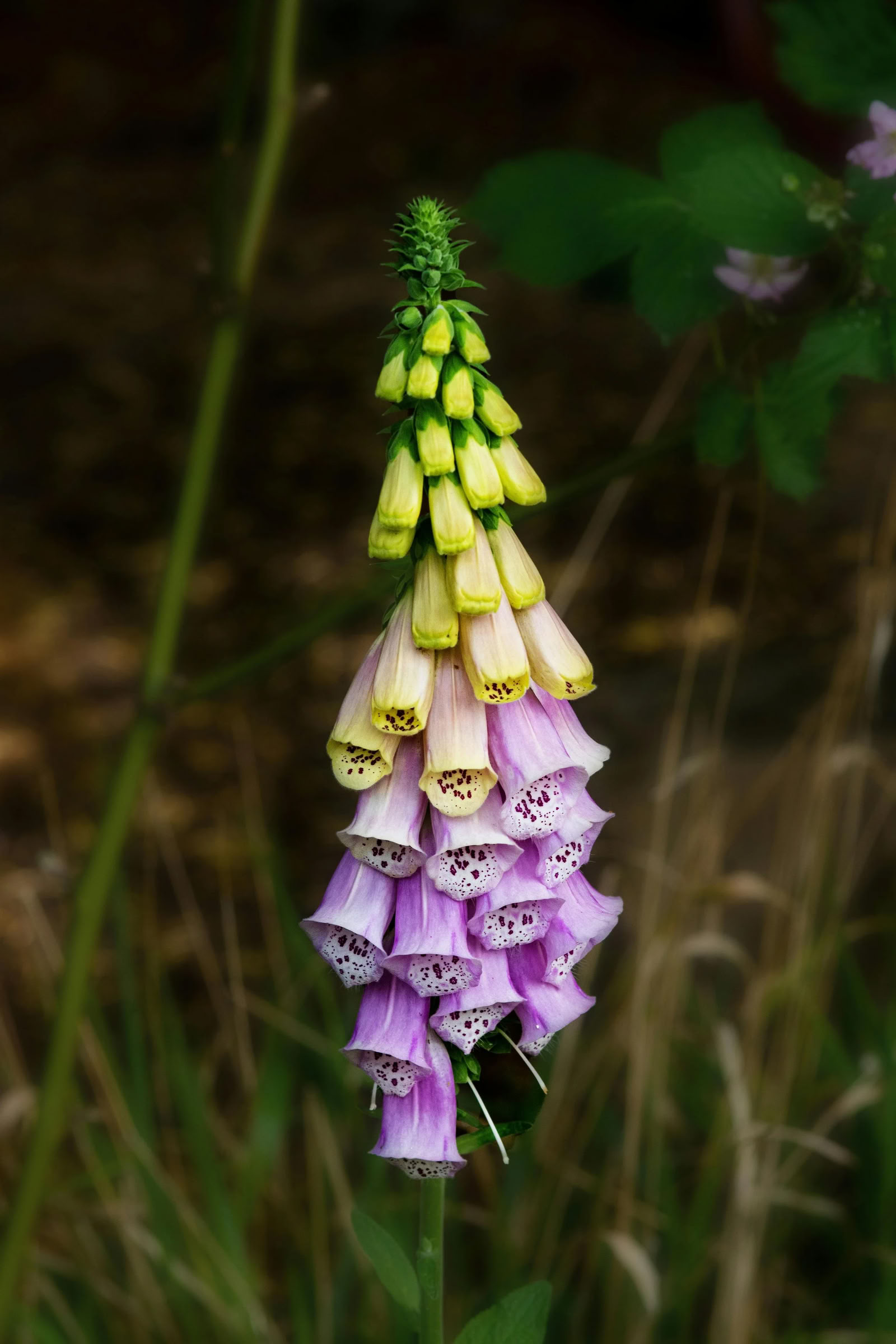 Art + Yoga Creativity Ritiro: Pottery + Botanicals | Nectar Yoga Retreat