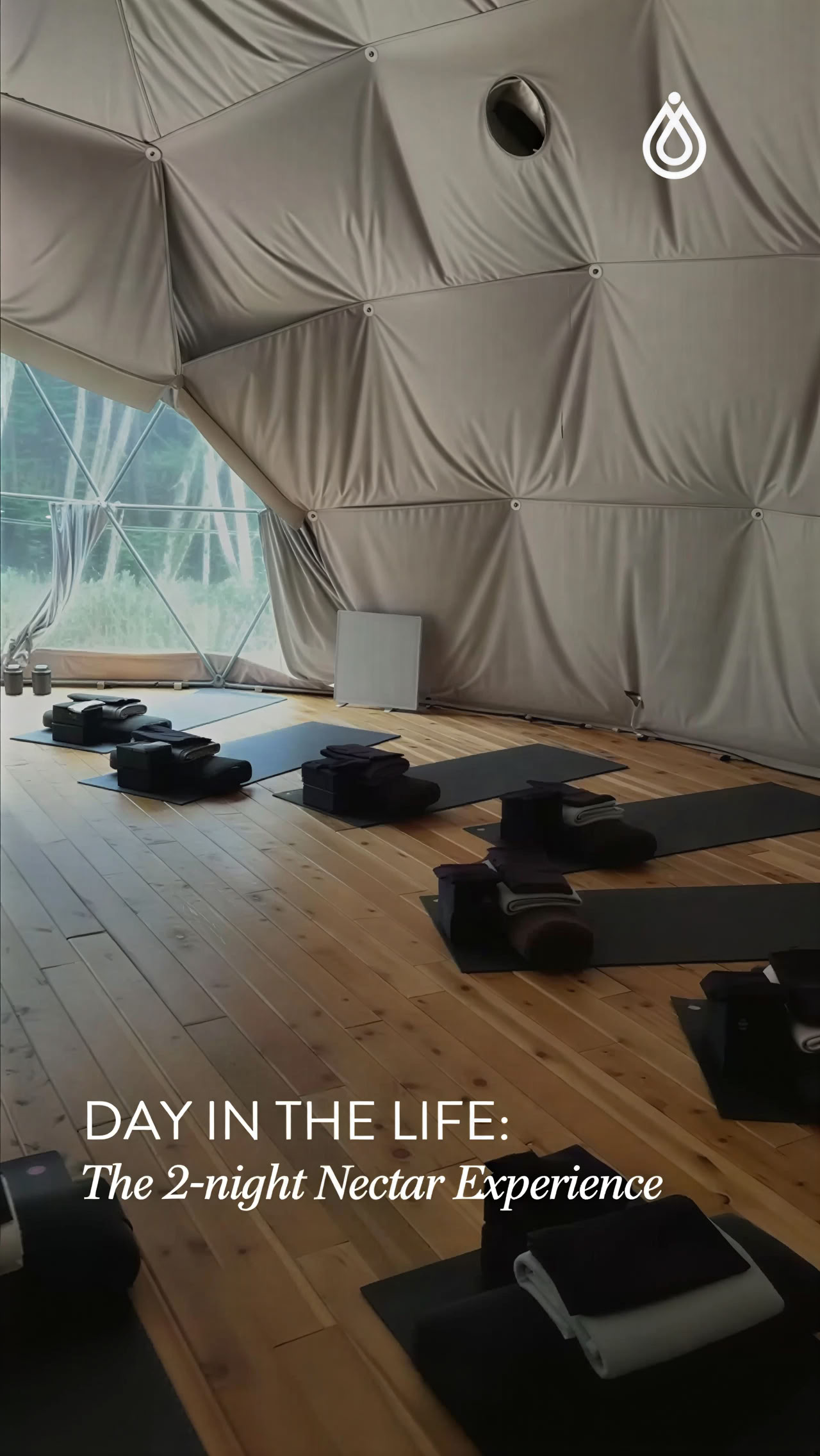 Art + Yoga Creativity Ritiro: Pottery + Botanicals | Nectar Yoga Retreat