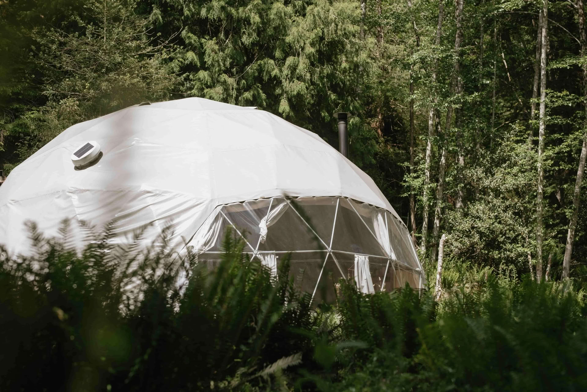 Return to Joy Giornata di Ritiro con Slow Burn Wellness | Nectar Yoga Bowen Island