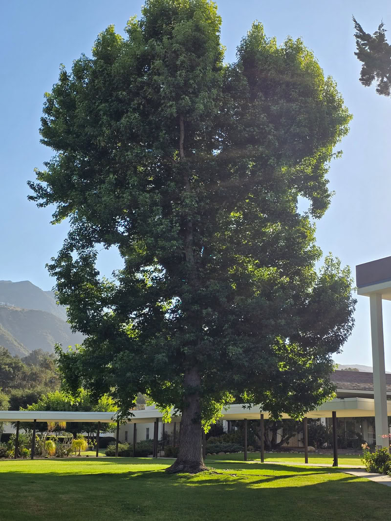 Ritiro di meditazione ad Assisi