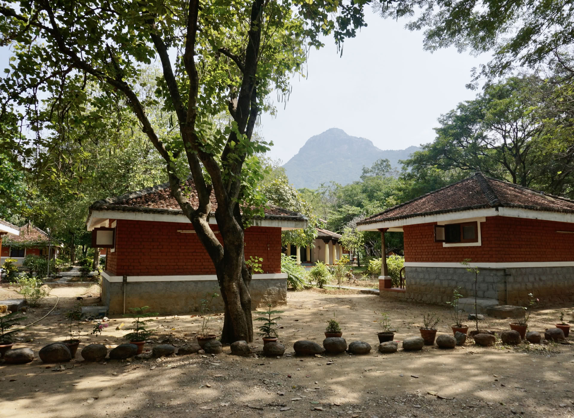 Jan 24 Ritiro Ashram di Meditazione Silenziosa Detox di 21 Giorni India