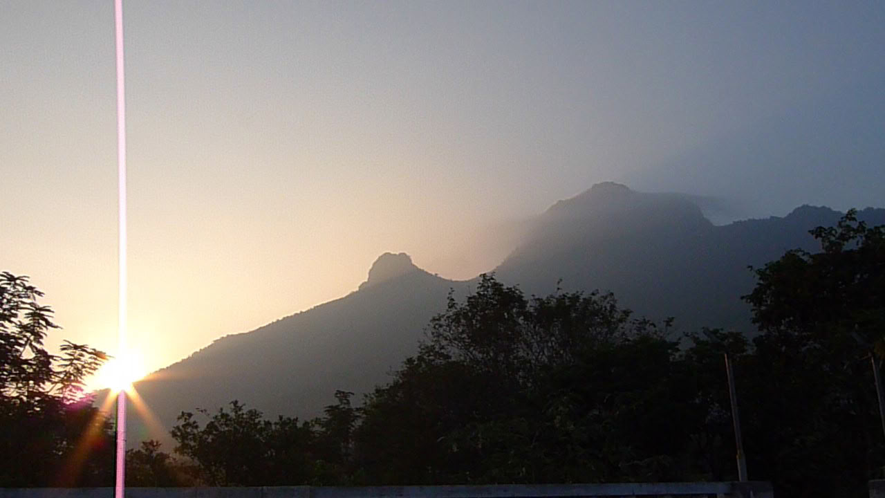 Jan 24 Ritiro Ashram di Meditazione Silenziosa Detox di 21 Giorni India