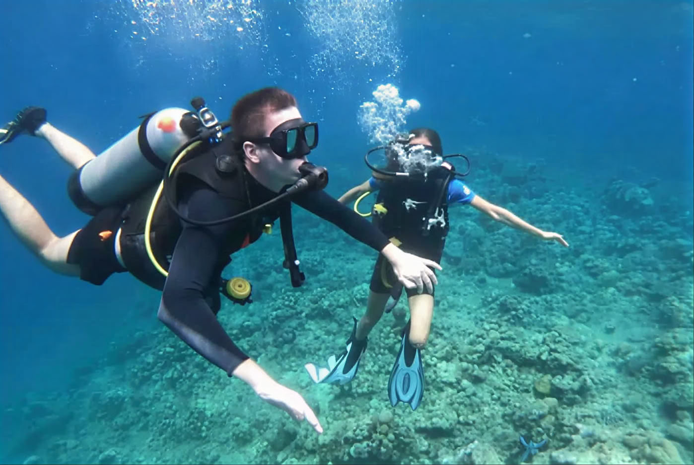 Immersioni nell'Isola di Menjangan