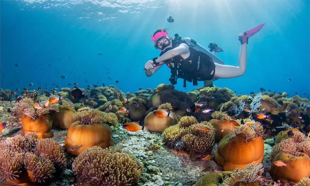 Immersioni nell'Isola di Menjangan