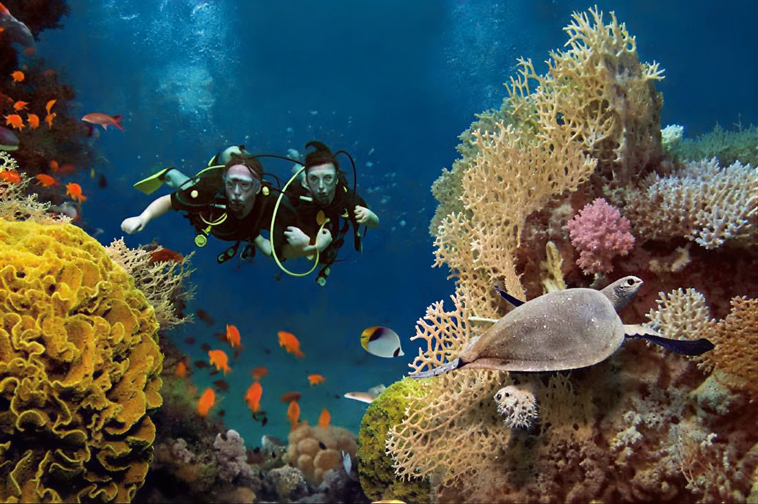 Immersioni nell'Isola di Menjangan