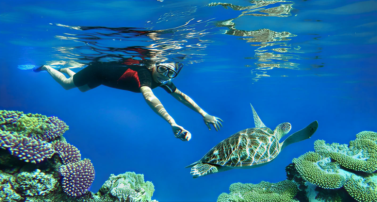 Reef Adventures: Snorkeling a Lovina