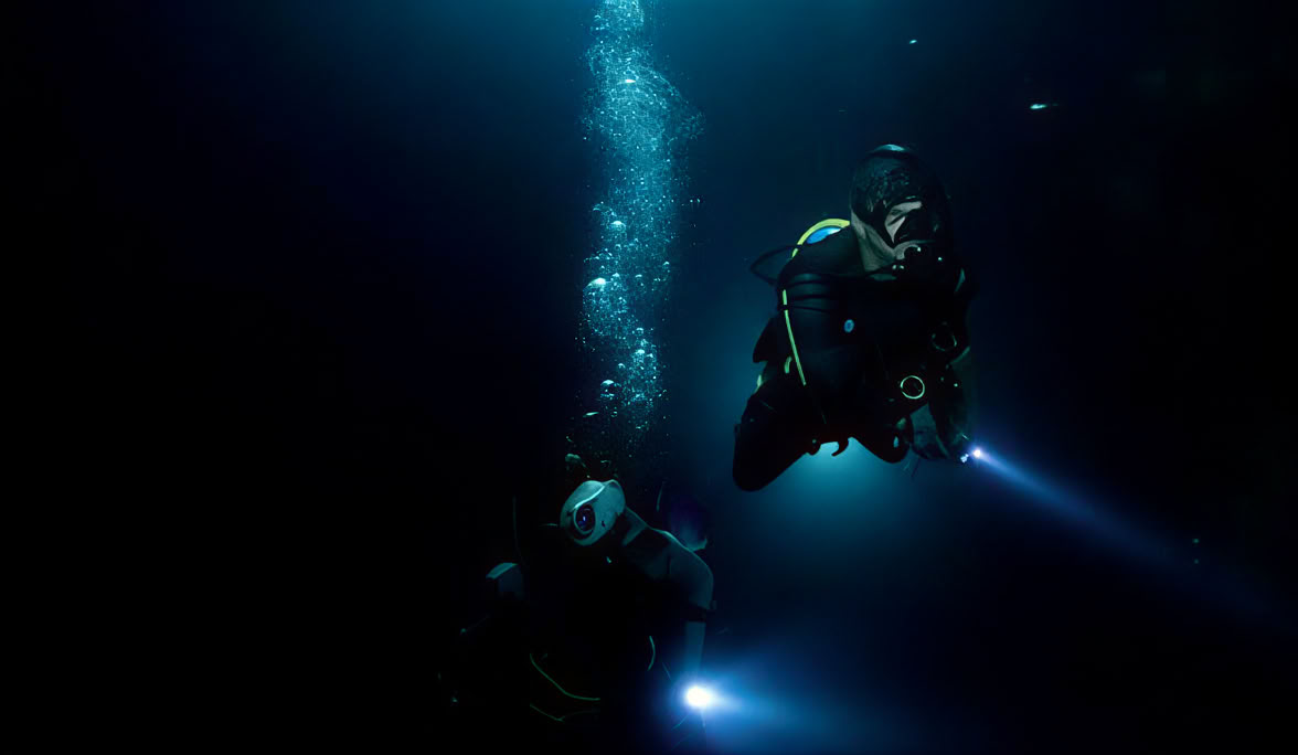 Immersione notturna a Lovina Reef