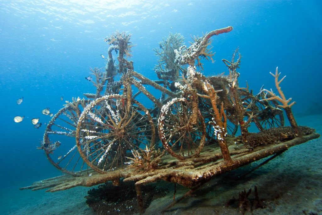 Tour di Pemuteran con snorkeling