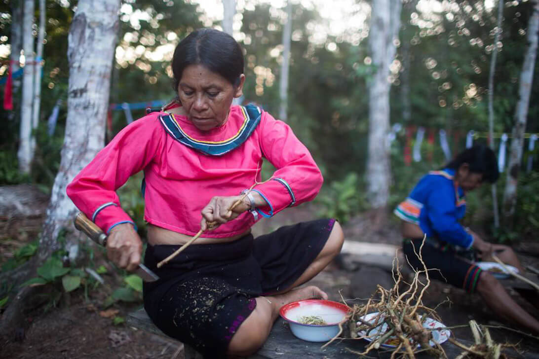 Ritiro di Ayahuasca & Master Plant Dieta in Perù