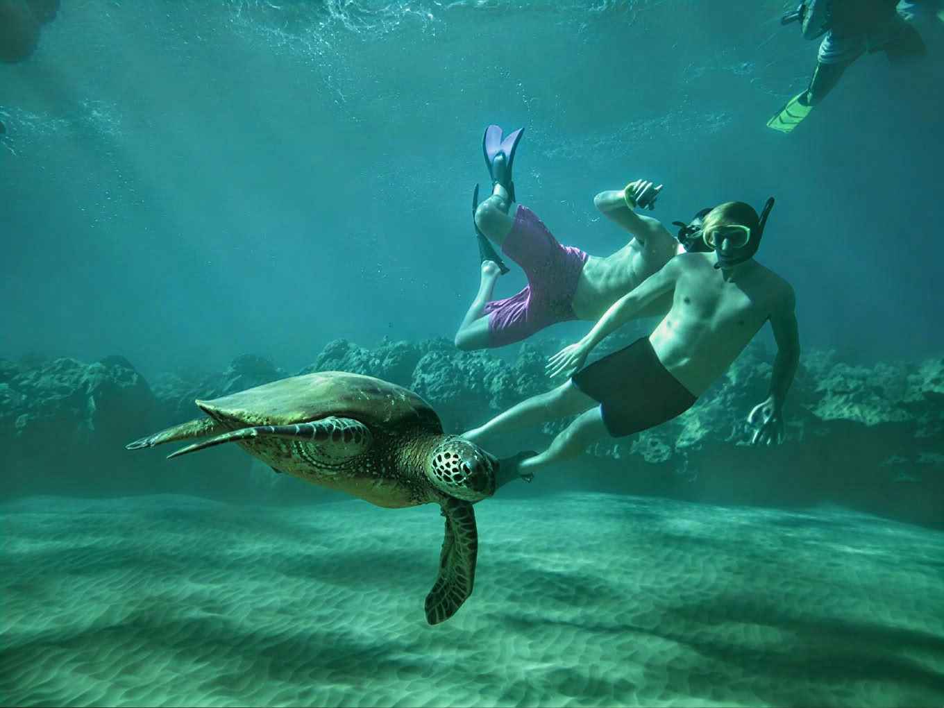 Maui Wellness & Adventure Ritiro