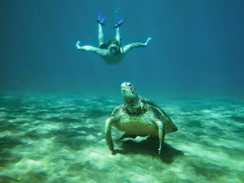 Maui Wellness & Adventure Ritiro