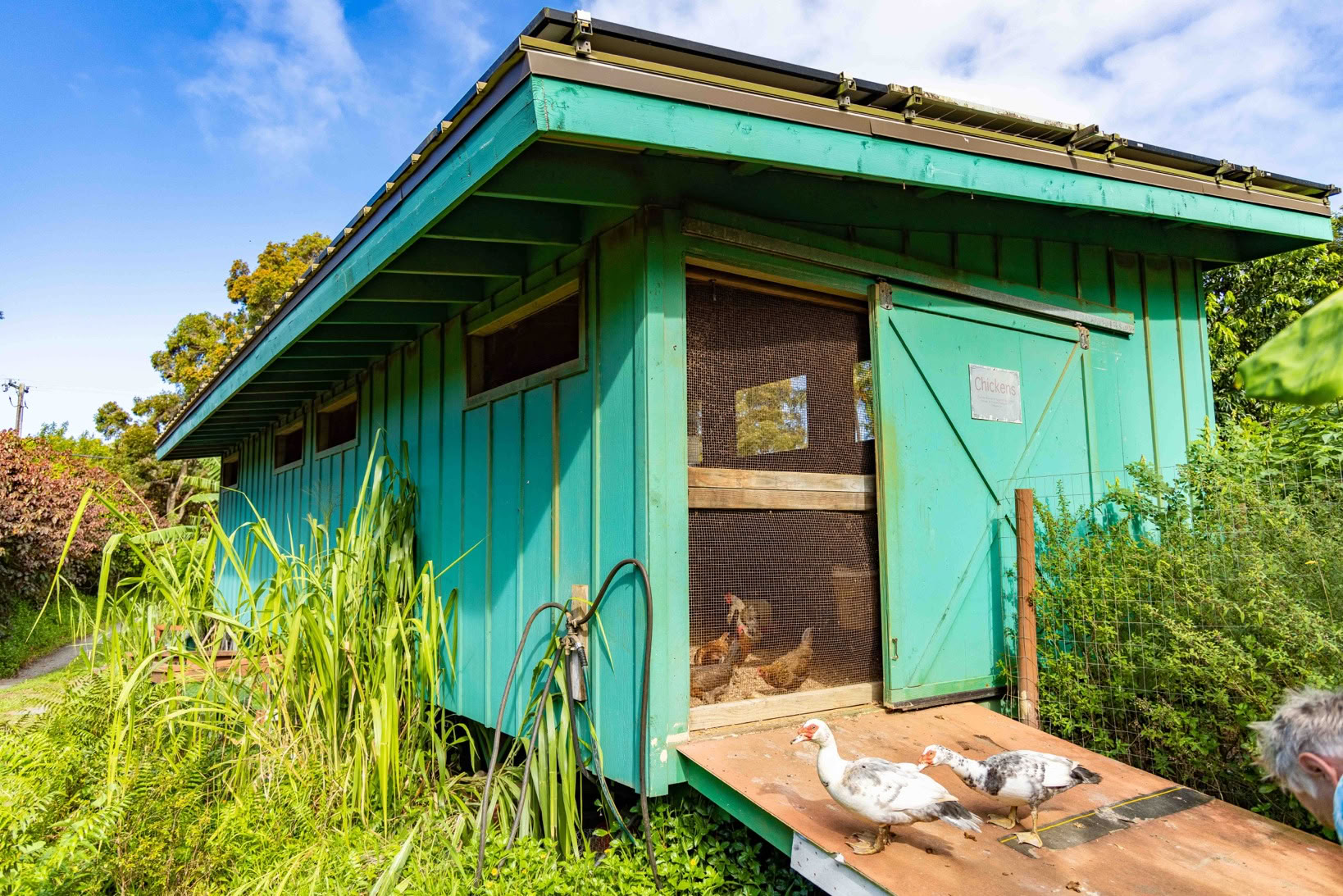 Tour della Fattoria Aloha Maui