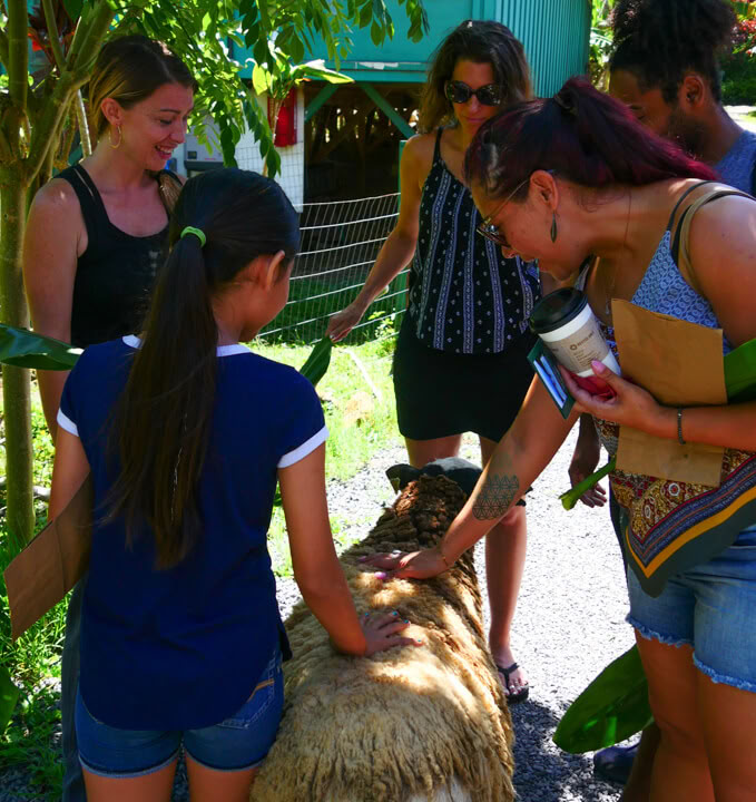 Tour della Fattoria Aloha Maui