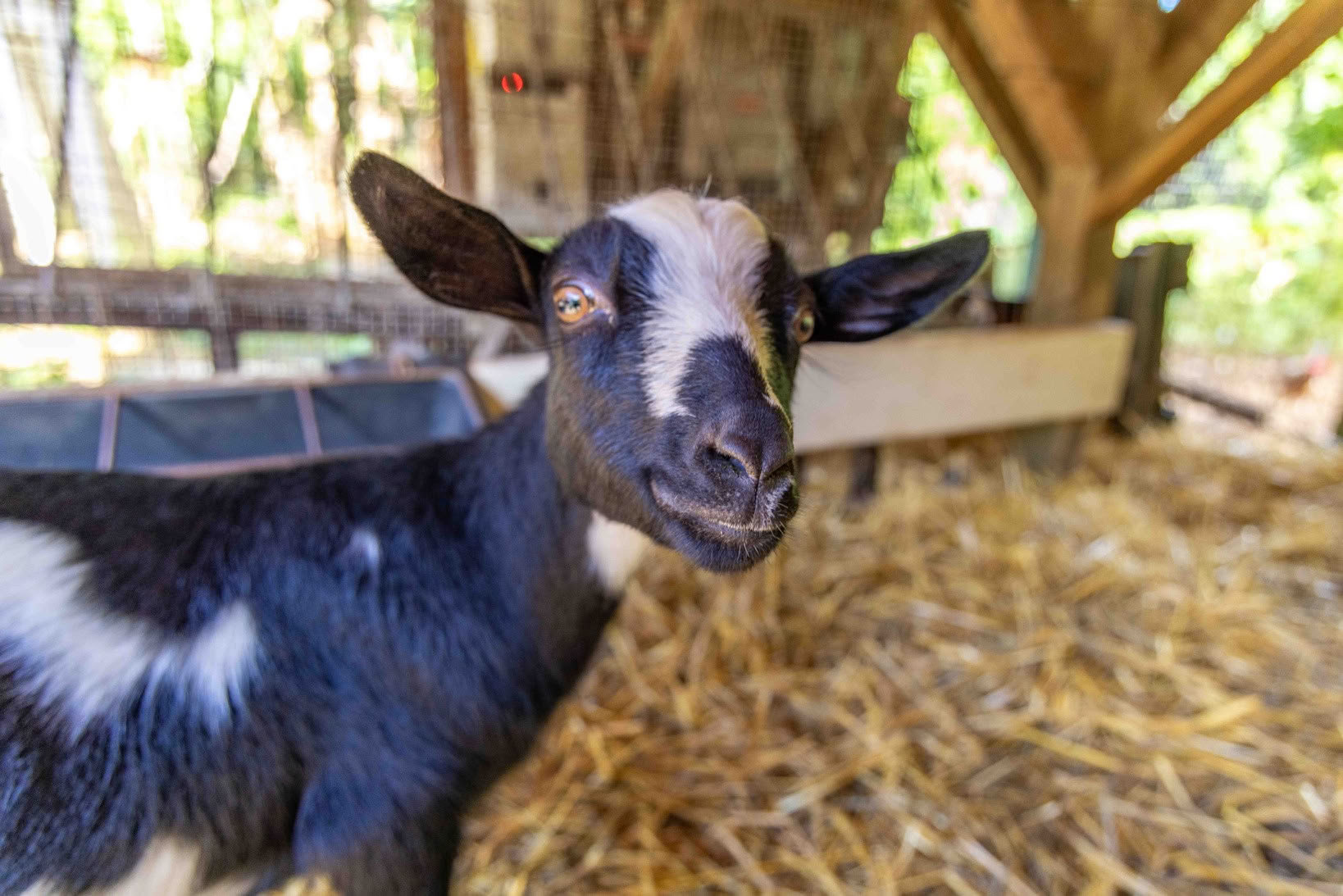 Tour della Fattoria Aloha Maui