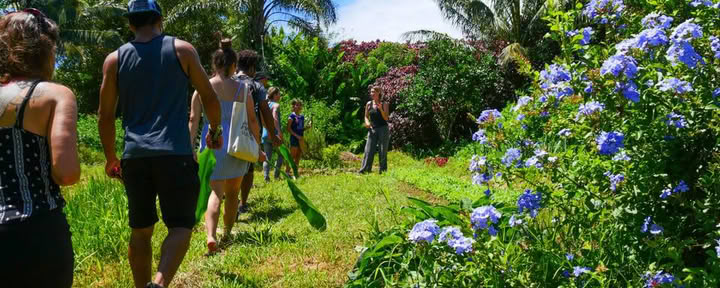 Tour della Fattoria Aloha Maui