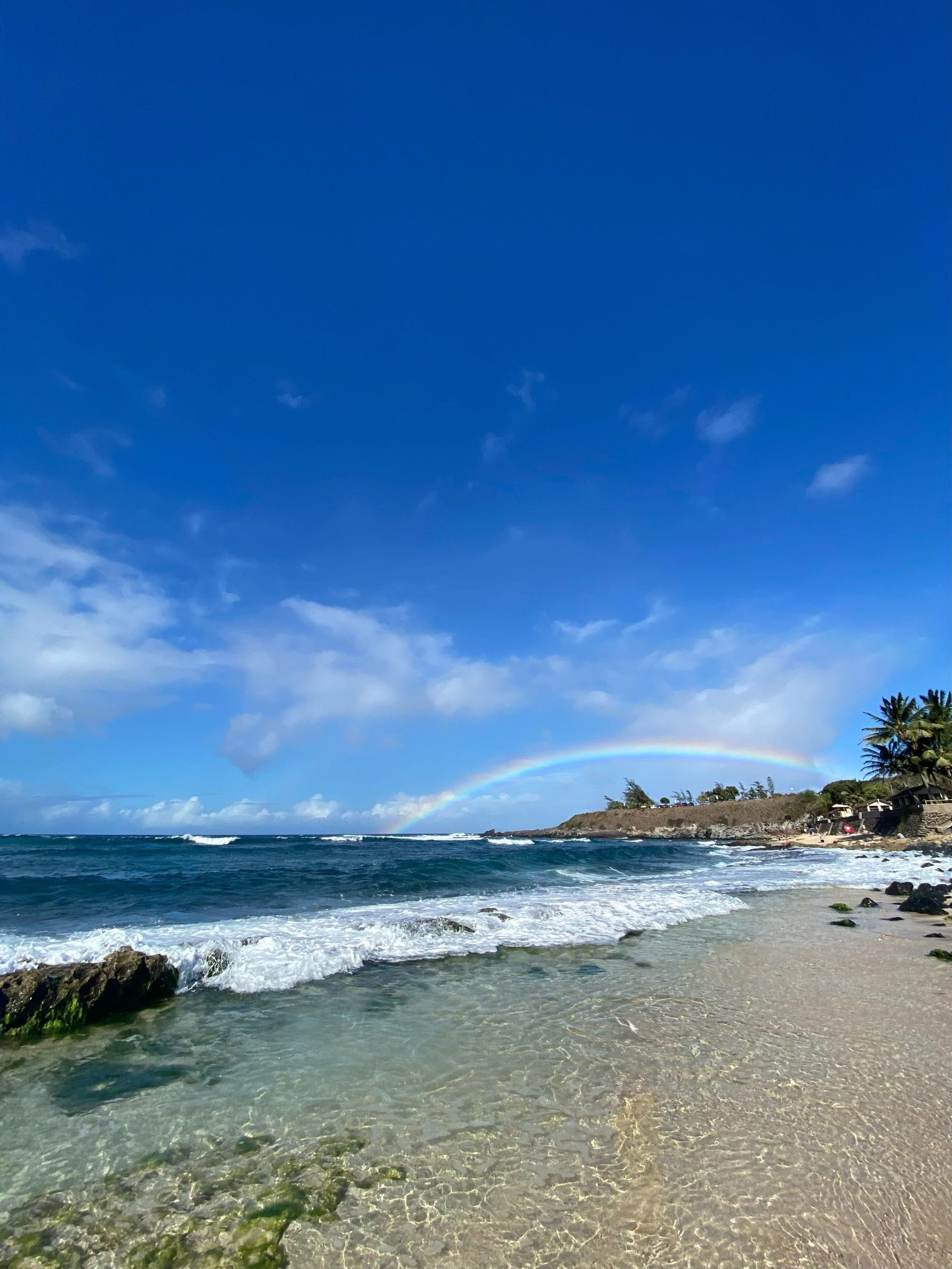 6 giorni di ritiro IFS & Breathwork a Maui