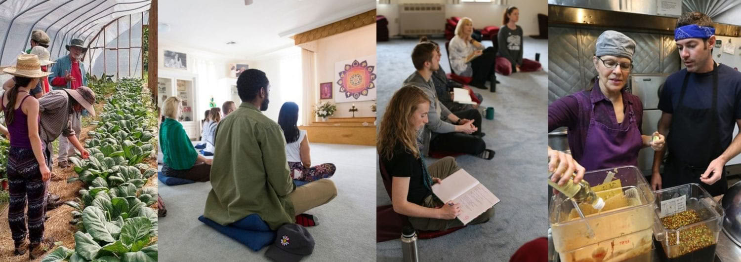 Living Yoga Training (LYT) – 29 giu - 26 lug
