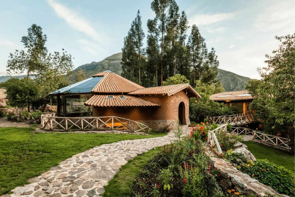 Amazon - Blue Morpho Lodge 3 ayahuasca & 1 San Pedro