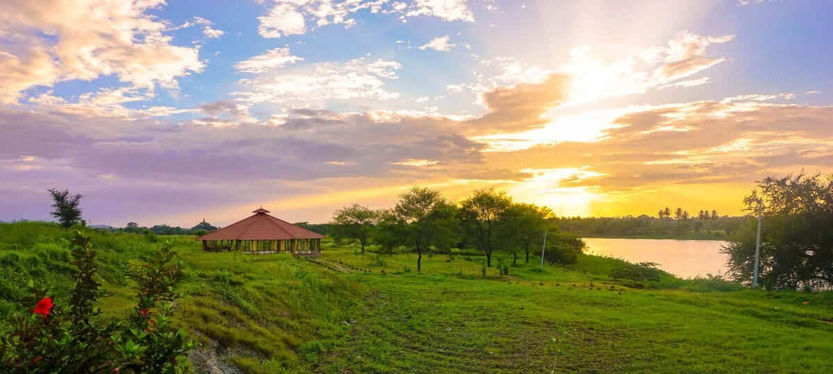 200 Ore di Formazione Insegnanti di Yoga in India – 1 - 29 settembre 2026
