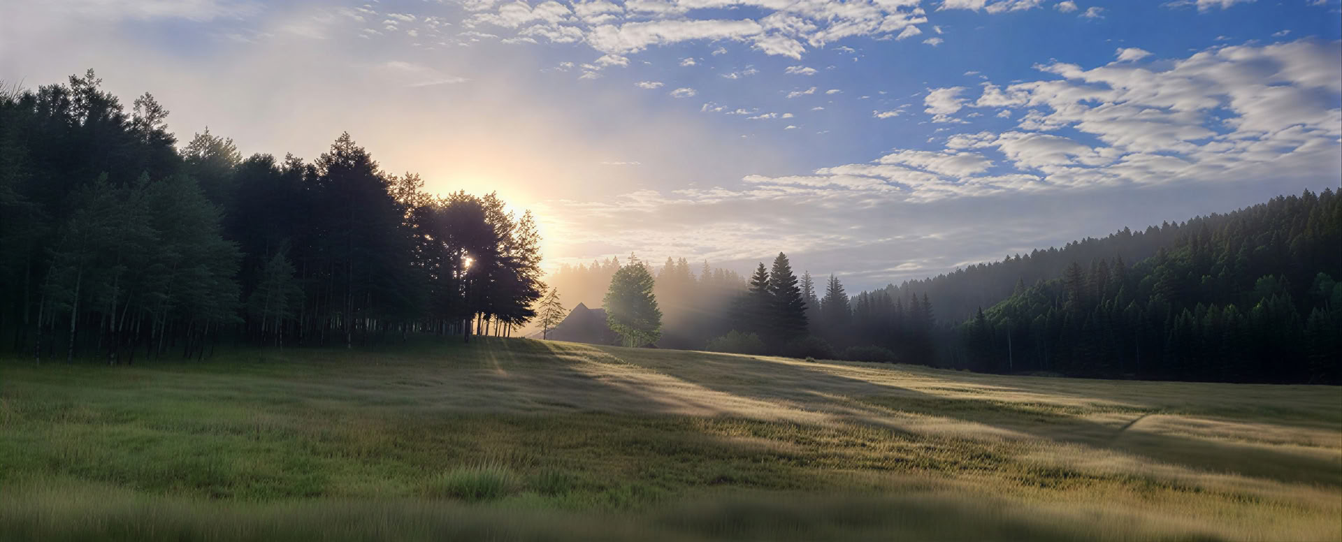 Awake in the Wild (Ottobre): Esplorare la Saggezza e il Risveglio nella Natura