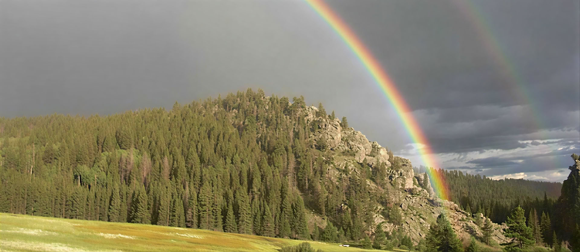 L’intreccio di Metta e Vipassana