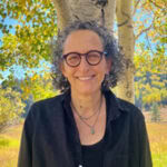 The World is Made of Stories: Un ritiro di meditazione vipassana