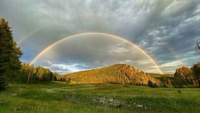 Dopo essere andato nella foresta