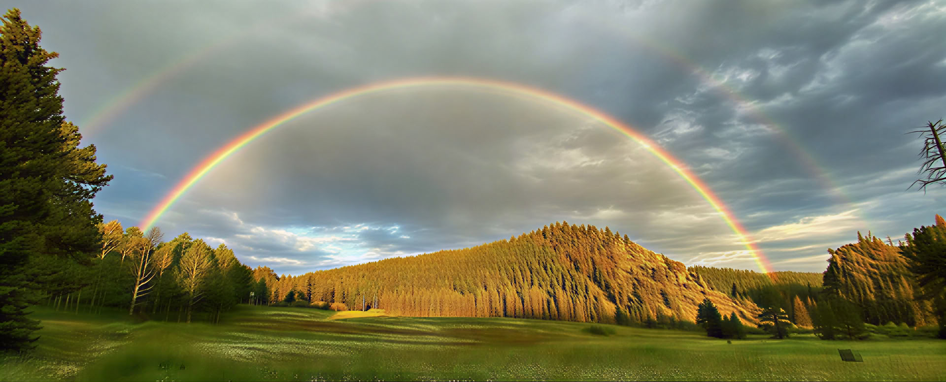 Appartenere alla Terra: un ritiro di introspezione BIPOC nella natura