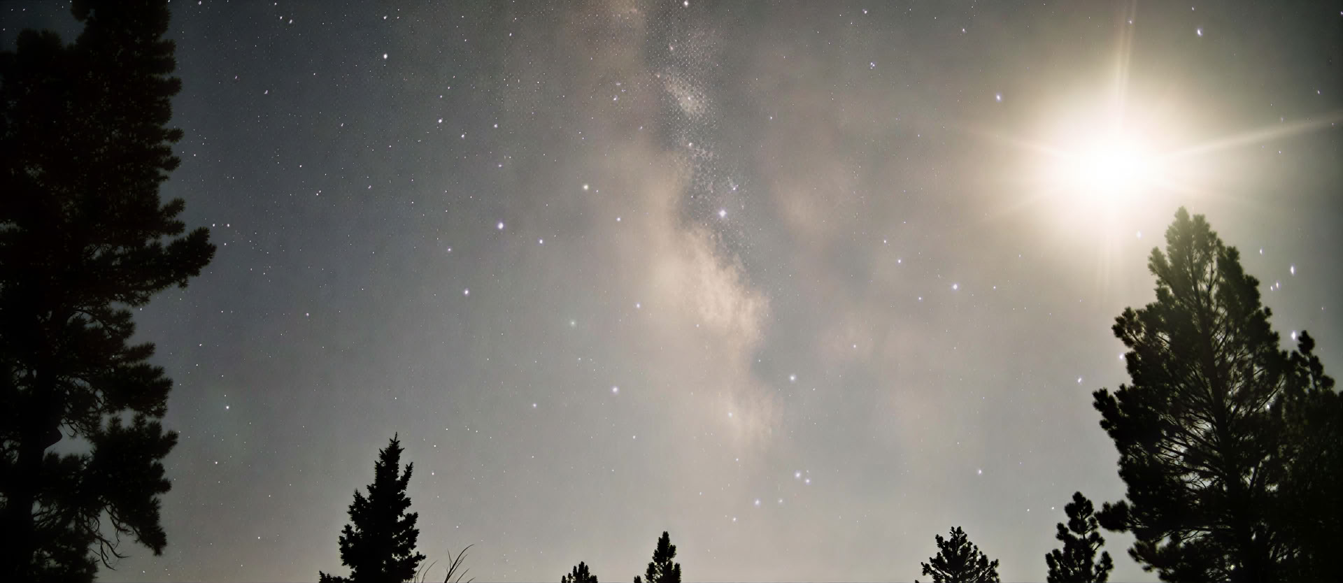 Immersione profonda nel Dharma