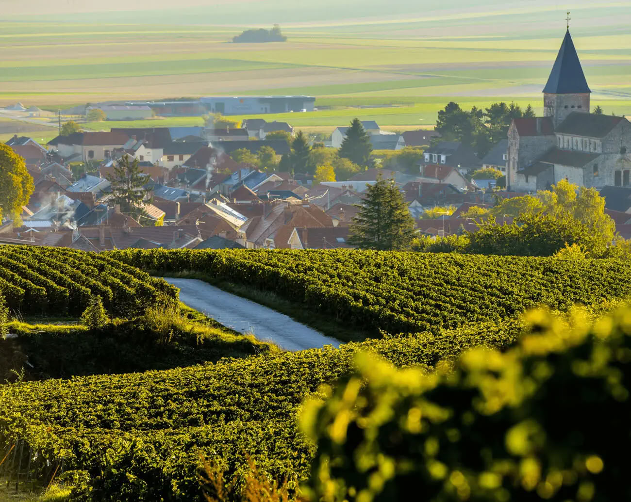 Champagne & Soul: Ritiro di Yoga per Donne + Champagne (Reims, Francia)